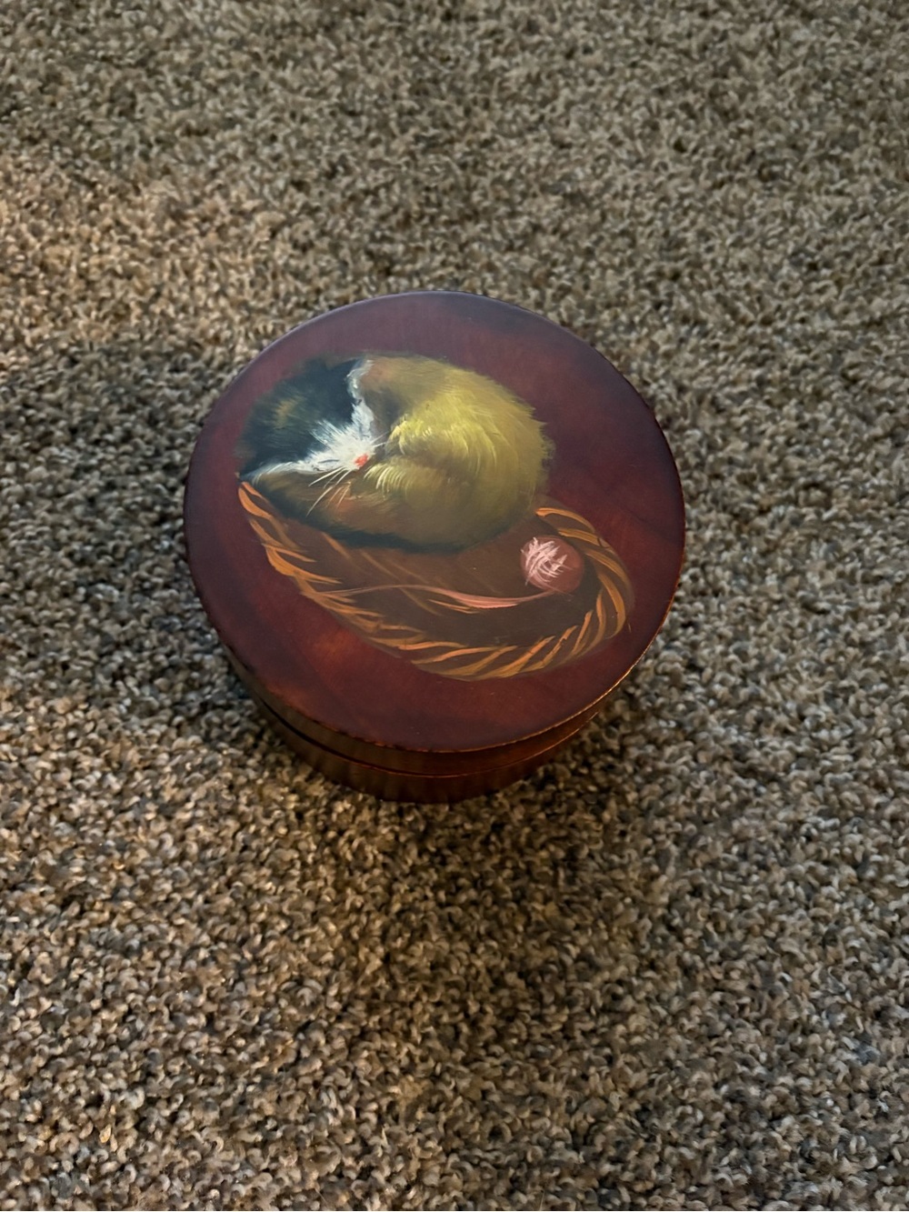 Painted Cat Nesting Boxes